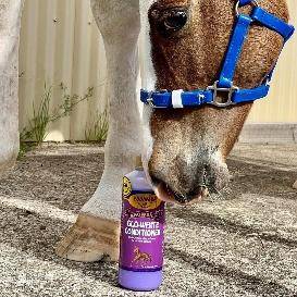 Equinade Glo White Shampoo 2.5L