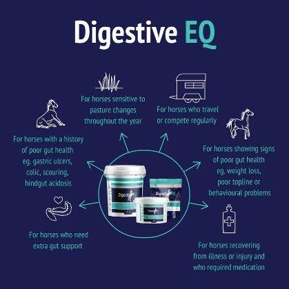 Digestive EQ 4kg
