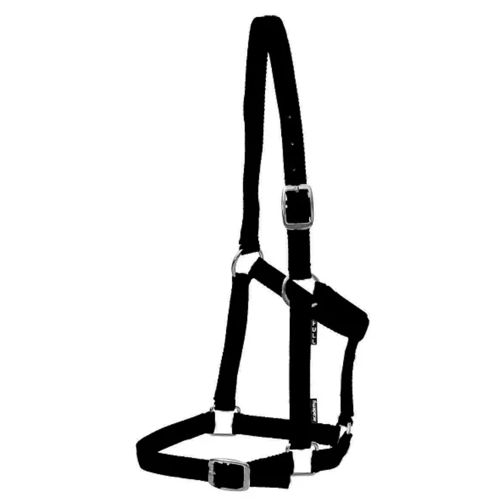 Academy Halter