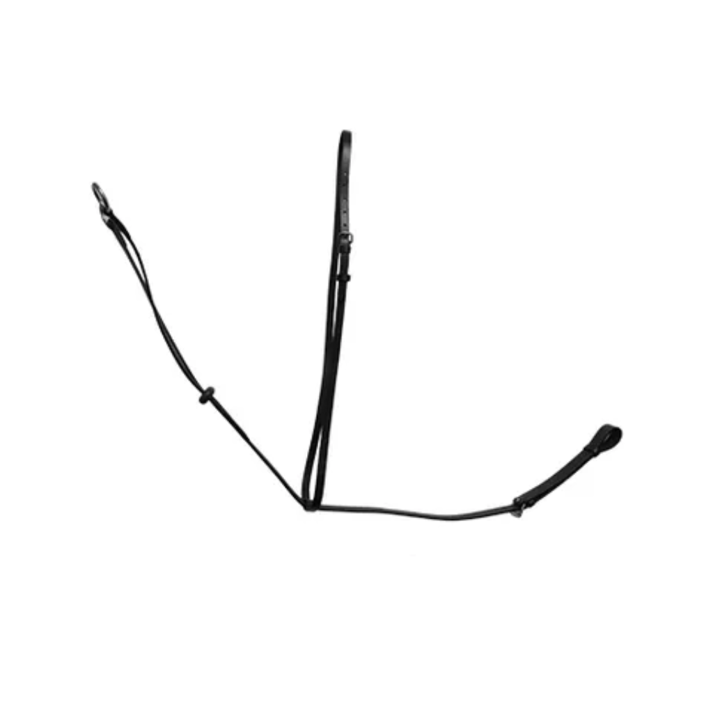 Academy Martingale