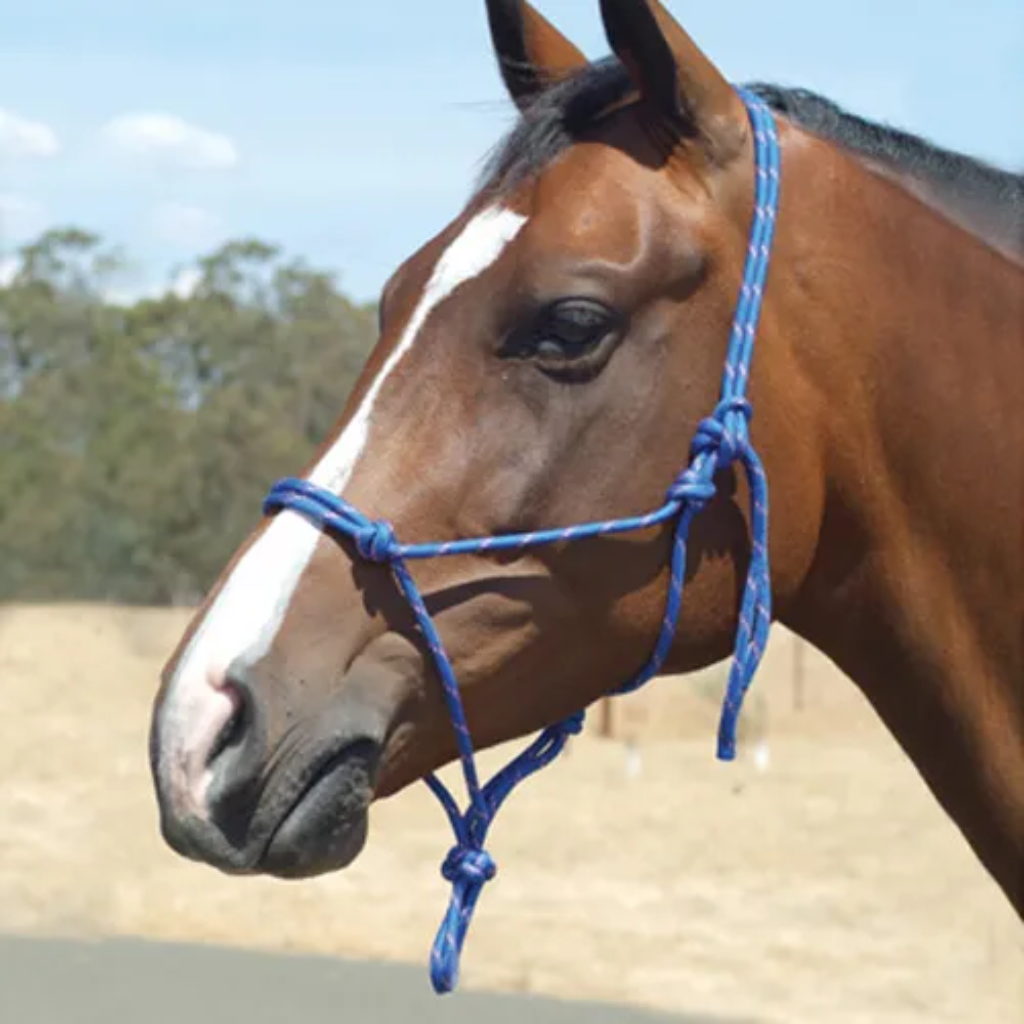 Rope Halters