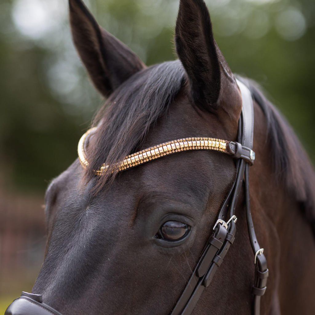 Horze Nature Made Leisure Browband