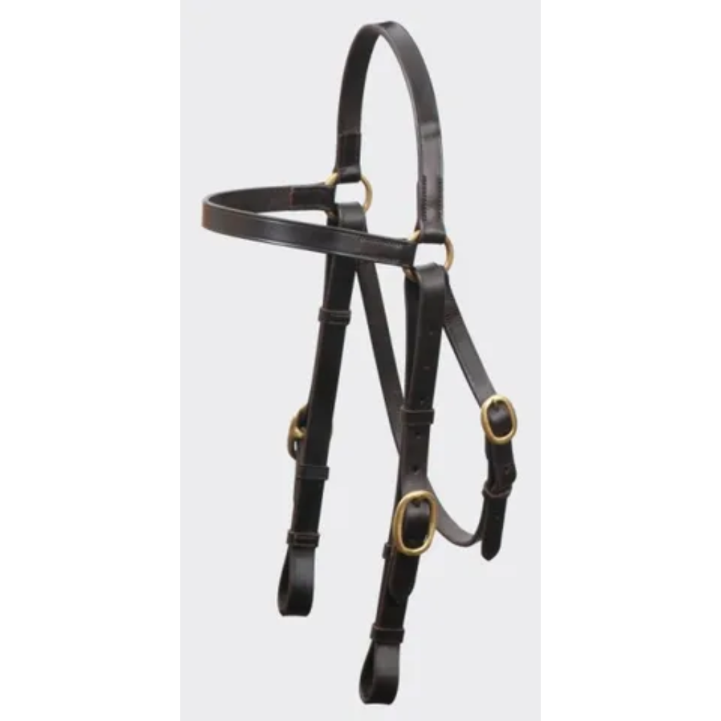 Eurohunter Barcoo Bridle