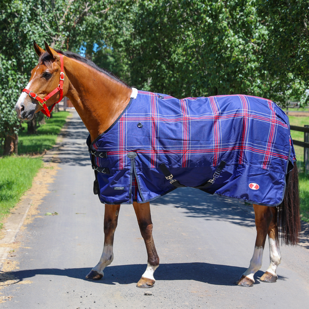 Zilco Crusader Rug