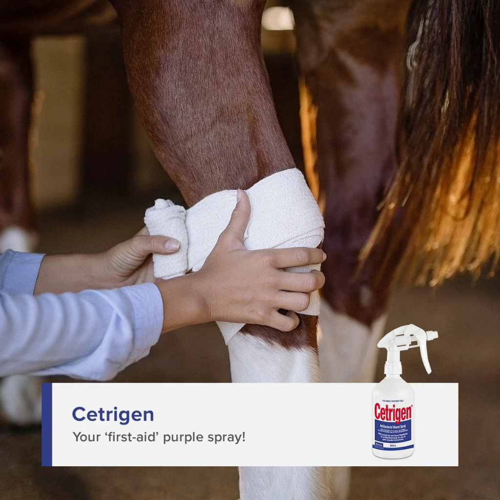 Cetrigen Antibacterial Wound Spray