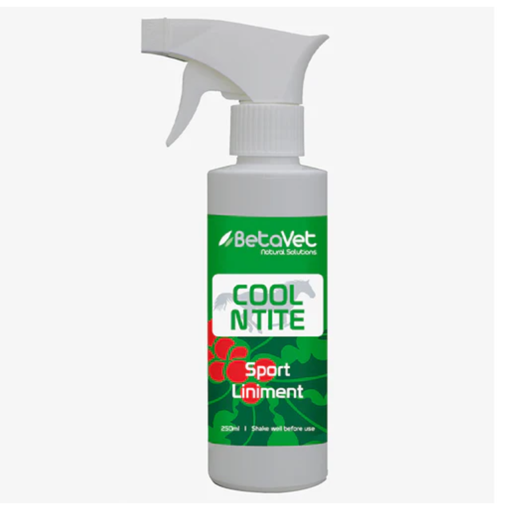 BetaVet Cool N Tite 250ML