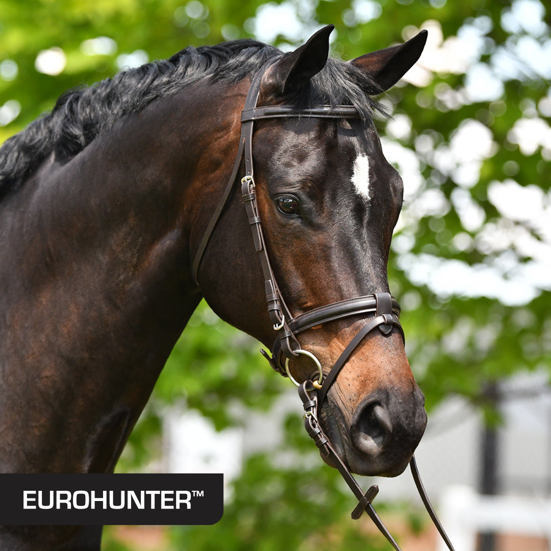 Eurohunter Eventing Snaffle