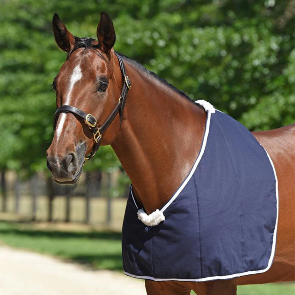 Bibs & Rug Accessories