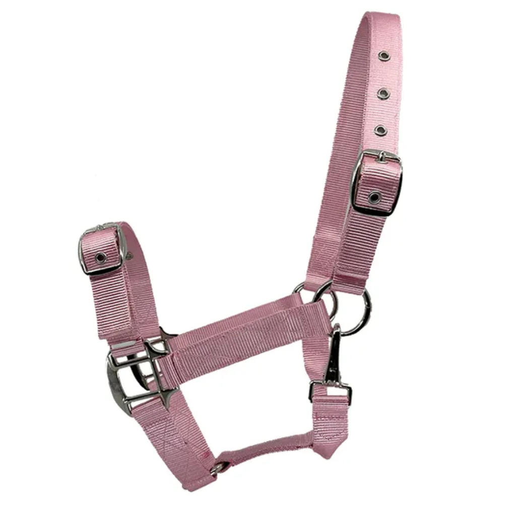 Eurohunter Essential Halter