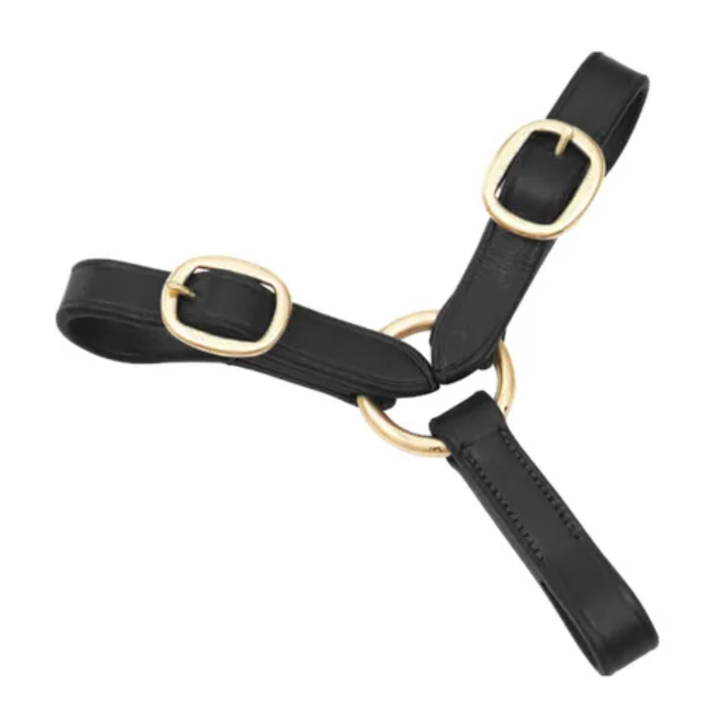 Argosy 3 Buckle Grainge