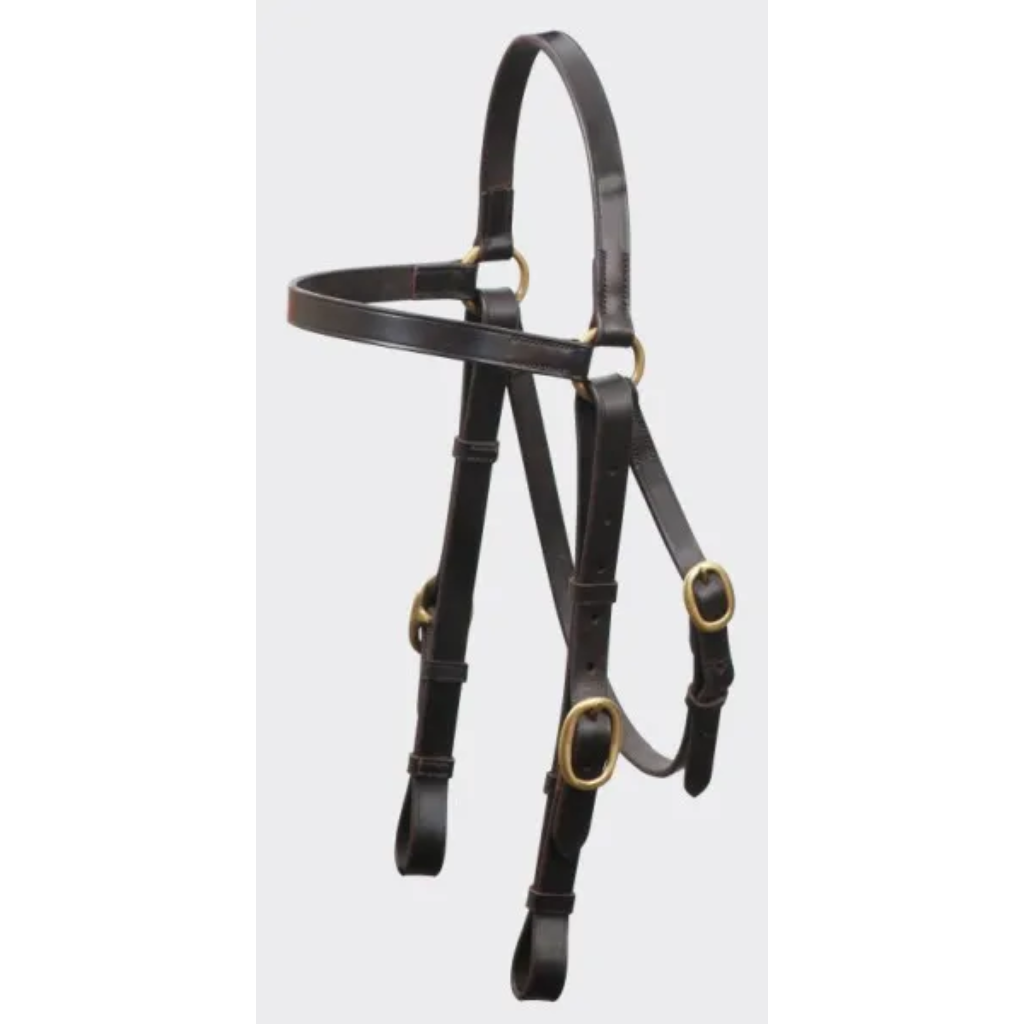 Bridle Grainge Elite Barcoo