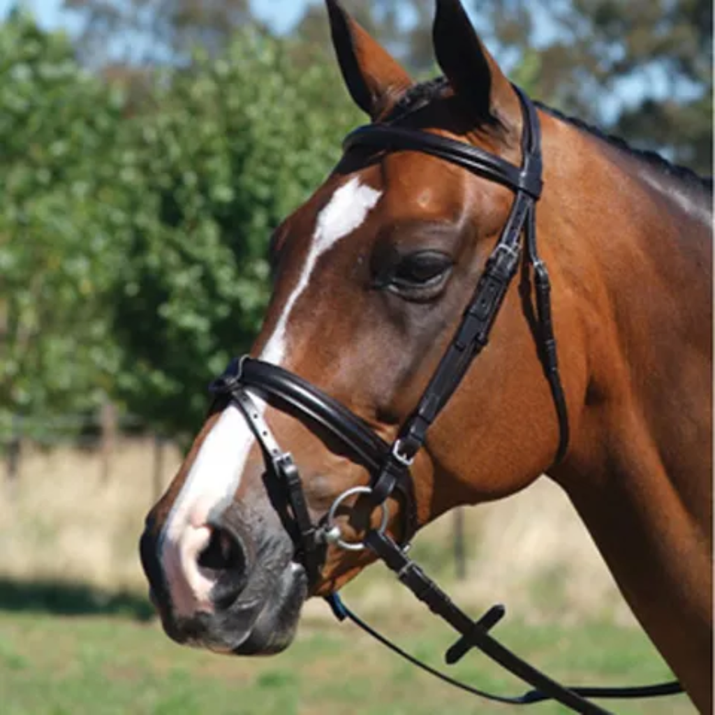 Bridle Grange Event Snaffle