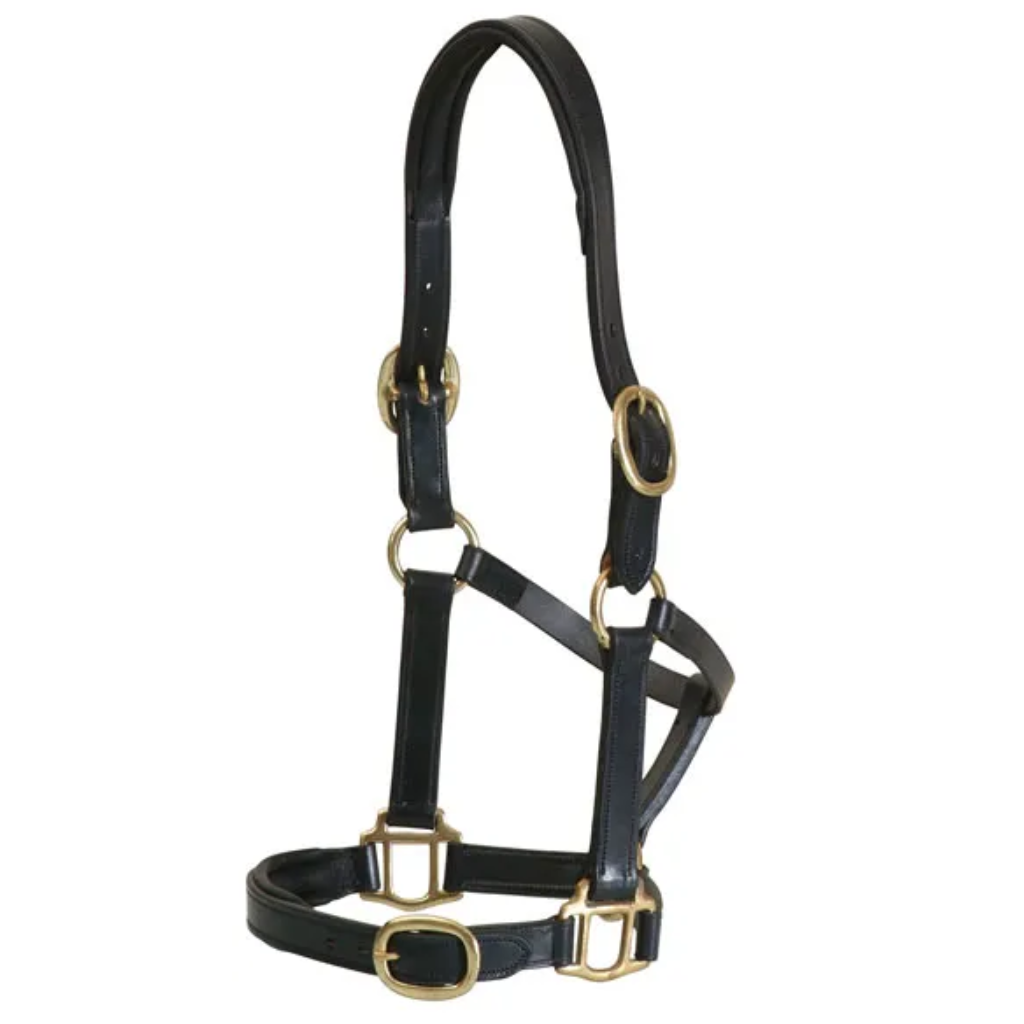 Grainge Elite Leather Halter