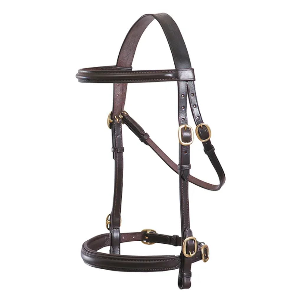 Bridle Grainge Elite Inhand