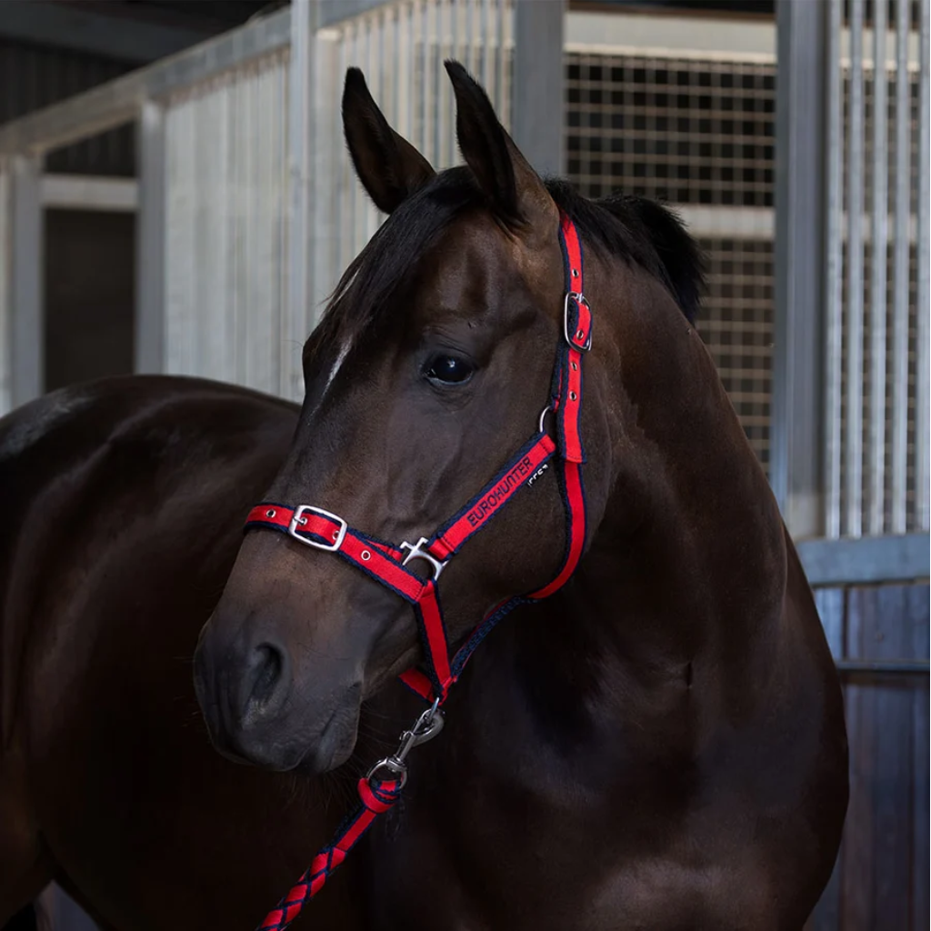 Eurohunter Comfort Halter & Lead Rope Navy/Red