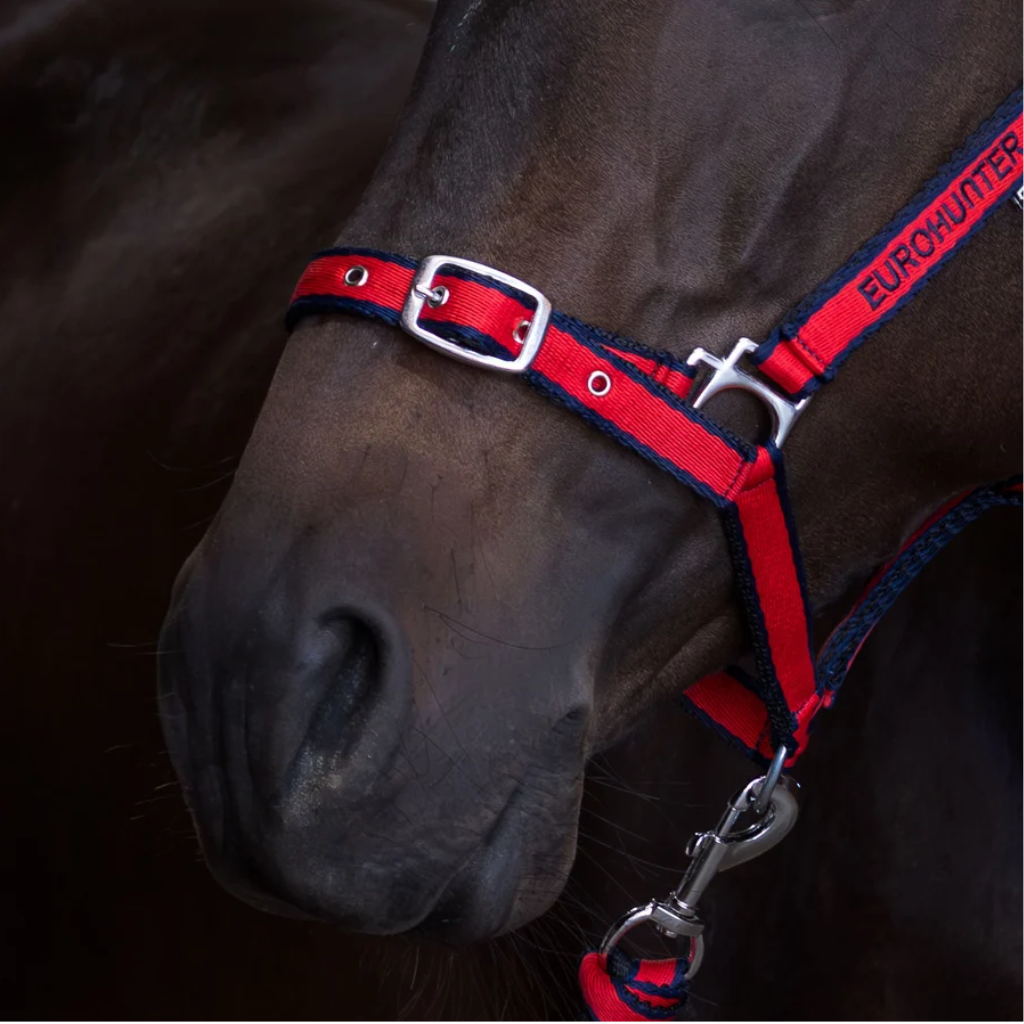 Eurohunter Comfort Halter & Lead Rope Navy/Red