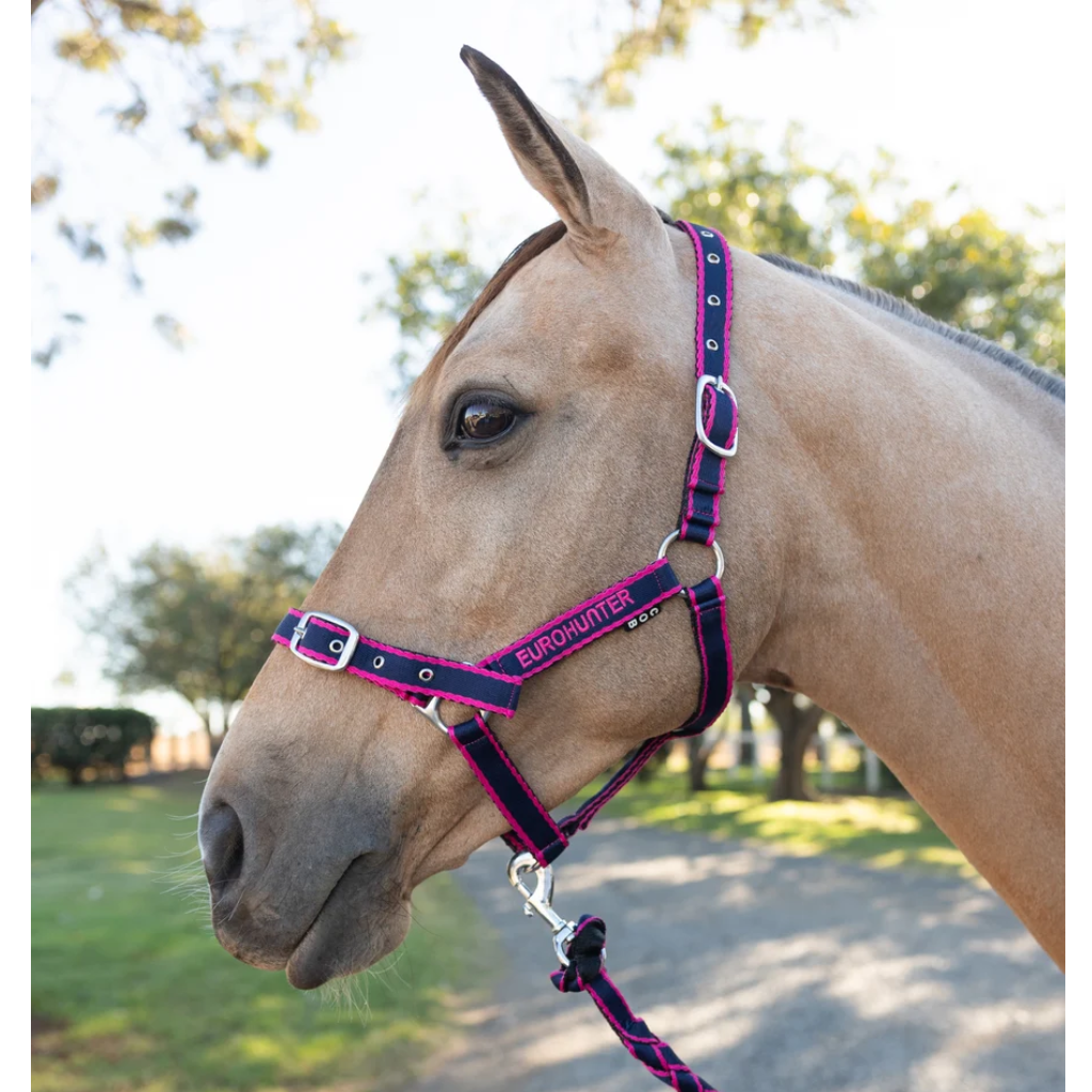 Eurohunter Comfort Halter & Lead Set