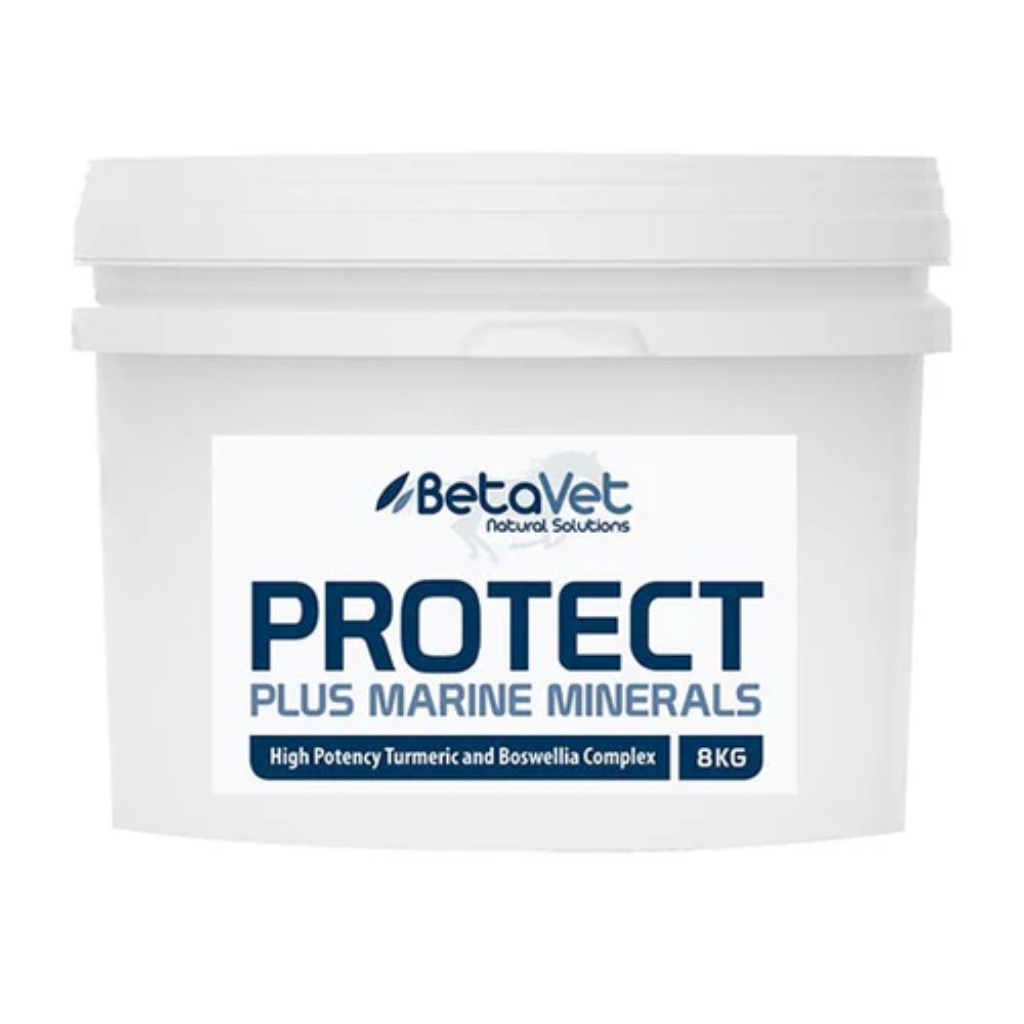 BetaVet Protect+ 500G