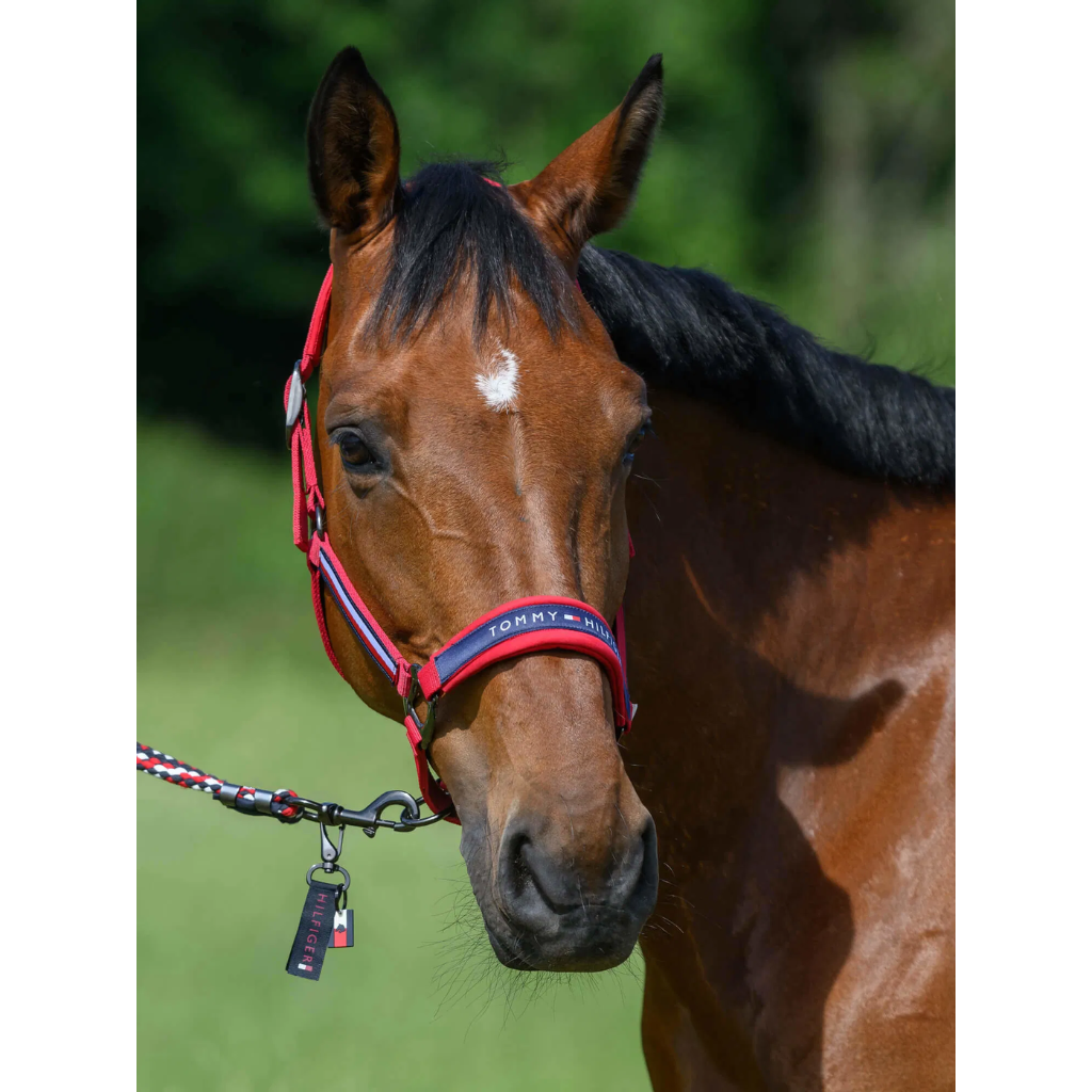 Tommy Hilfiger Lincoln Headstall