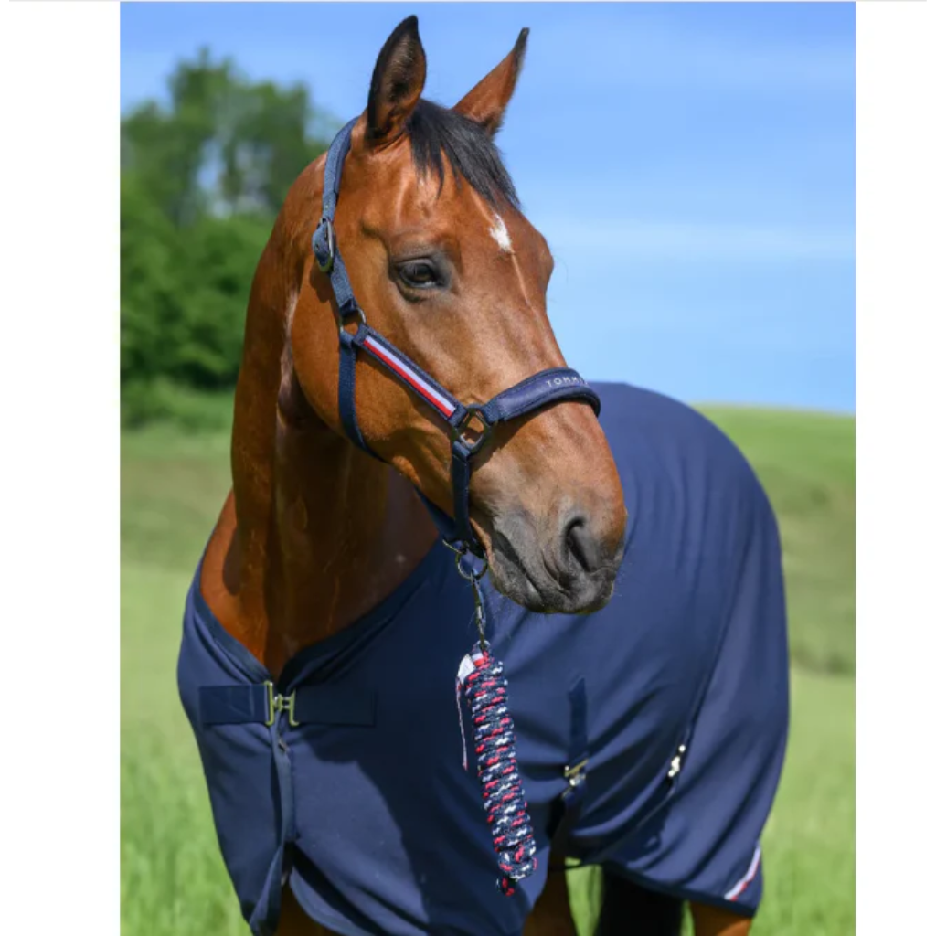 Tommy Hilfiger Lincoln Headstall