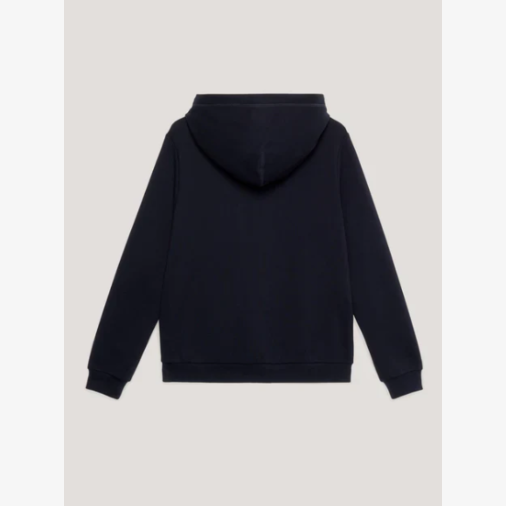 Tommy Hilfiger Metallic Logo Graphic Hoodie