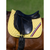 Tommy Hilfiger Stanford Jumping Saddlecloth