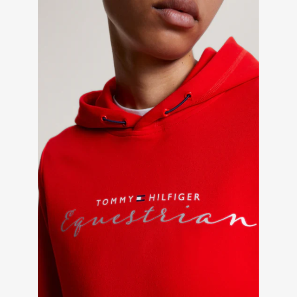 Tommy Hilfiger Metallic Logo Graphic Hoodie