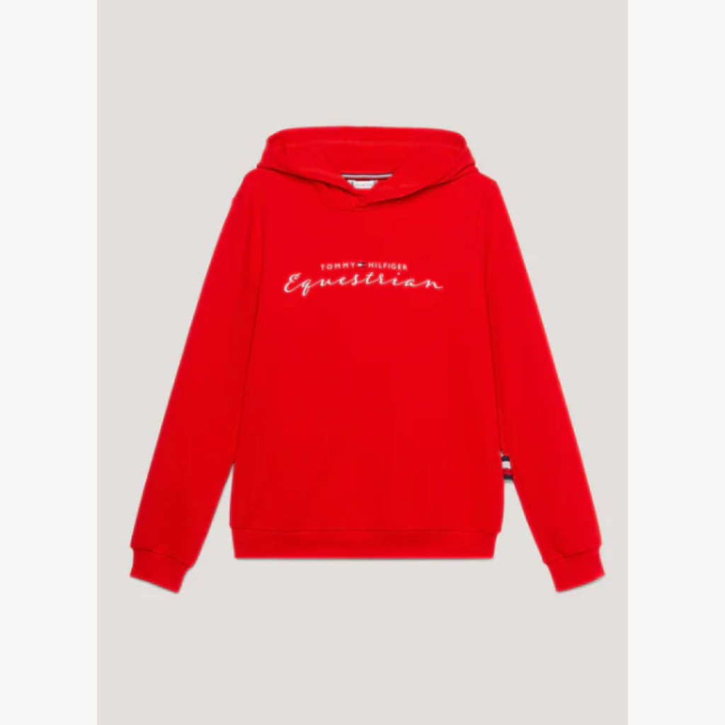 Tommy Hilfiger Metallic Logo Graphic Hoodie