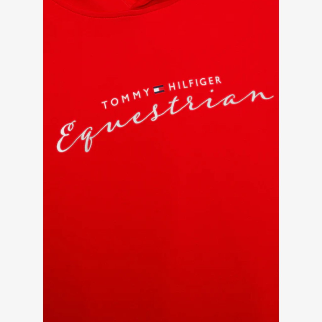 Tommy Hilfiger Metallic Logo Graphic Hoodie