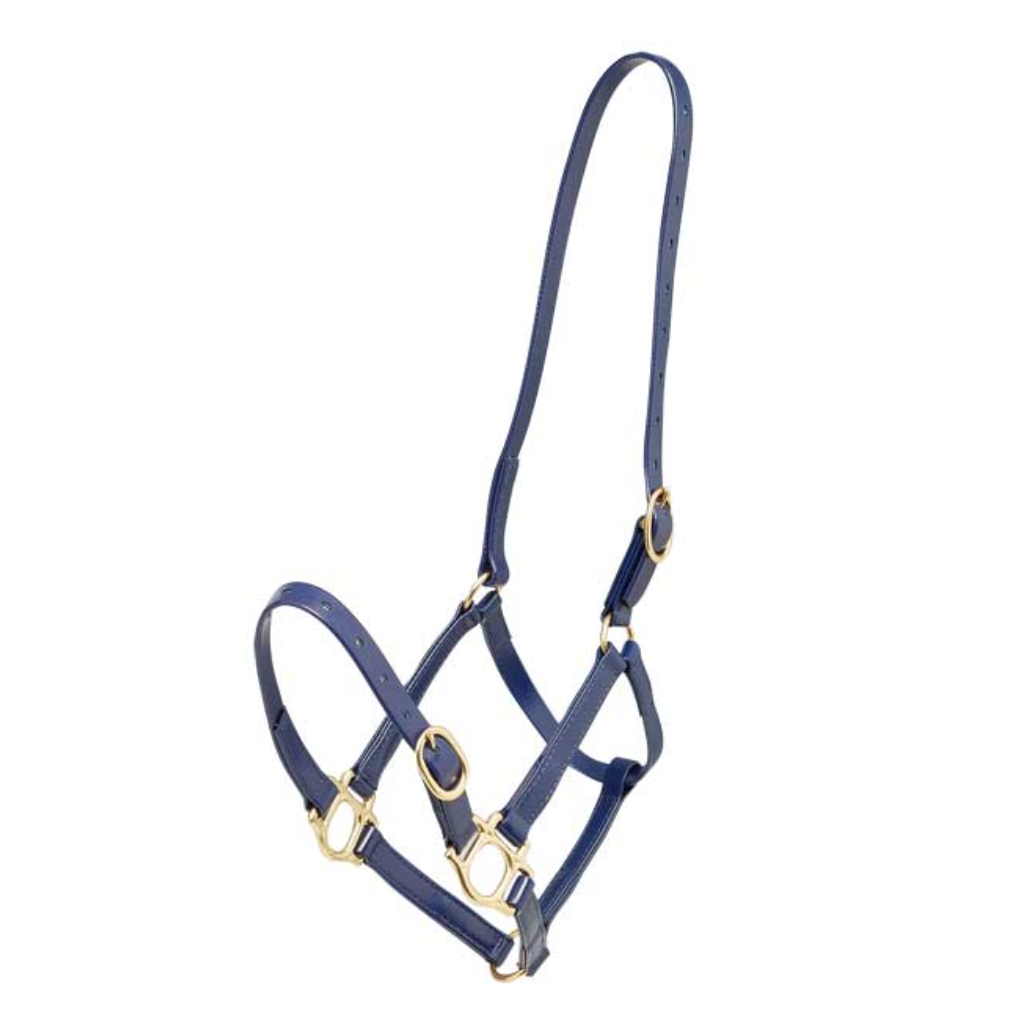 Zilco 19mm PN Headstall