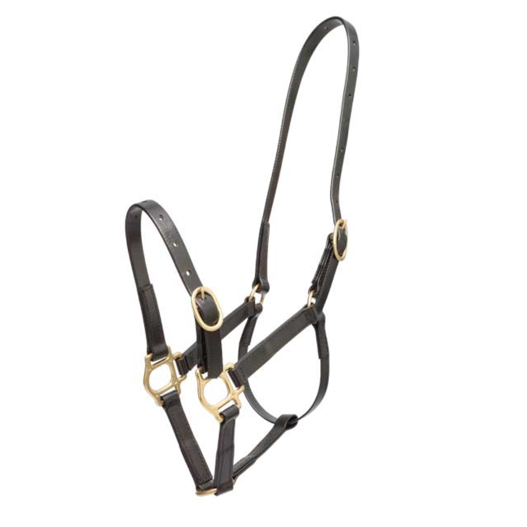 Zilco 19mm PN Headstall