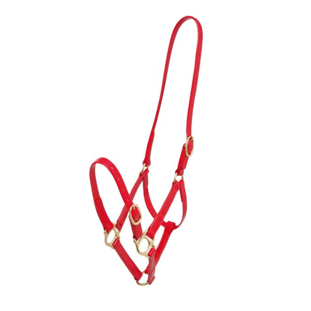 Zilco 19mm PN Headstall