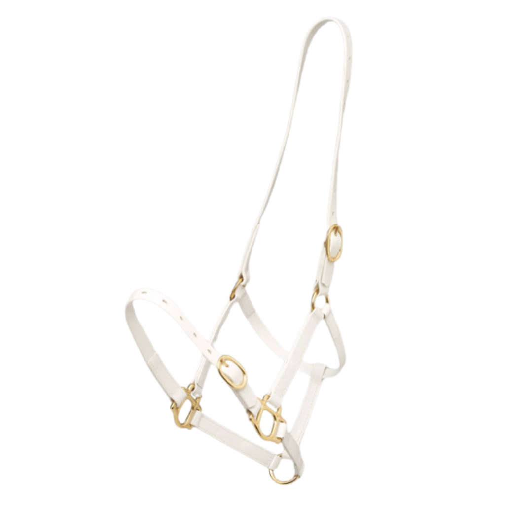 Zilco 19mm PN Headstall