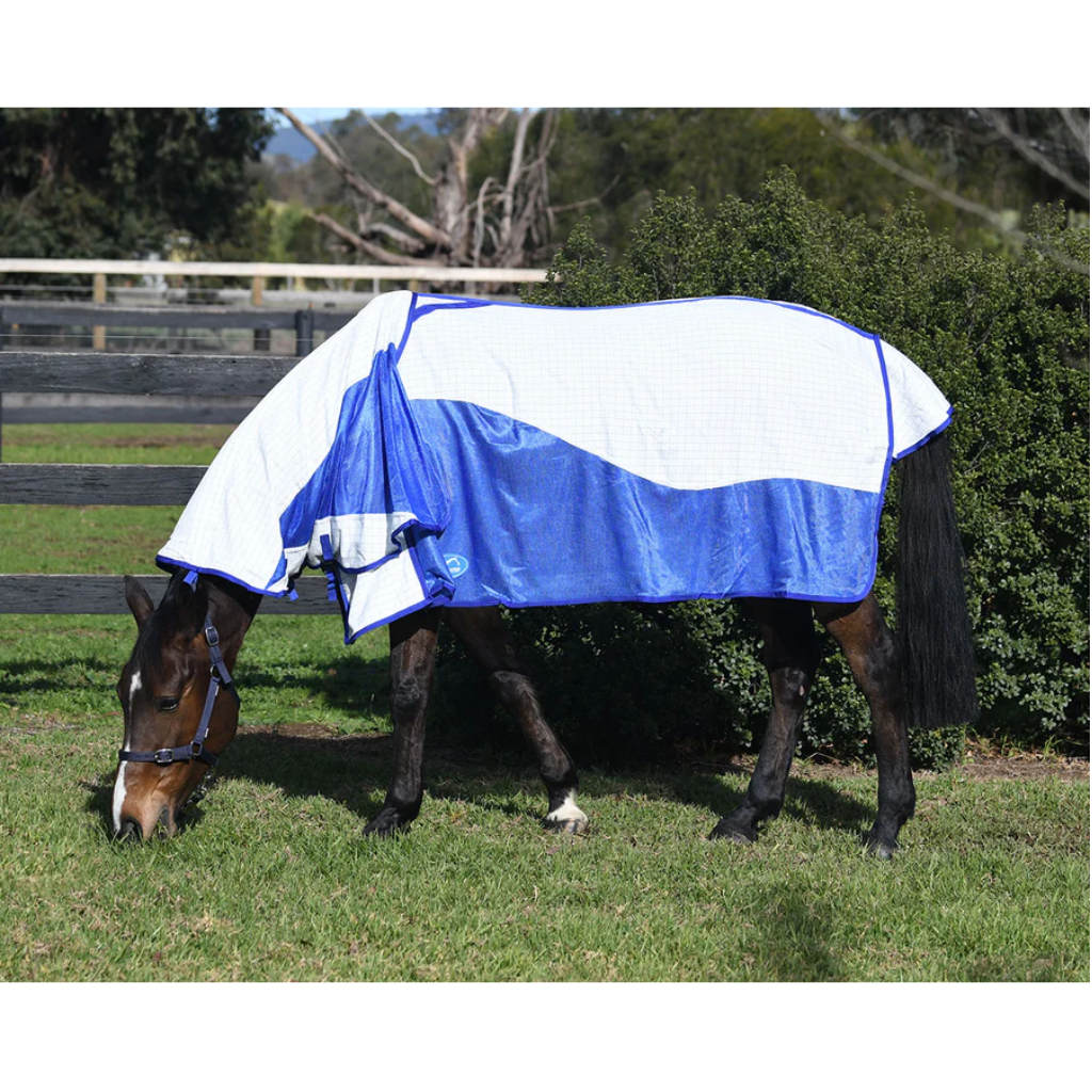 Eurohunter Airflow Combo