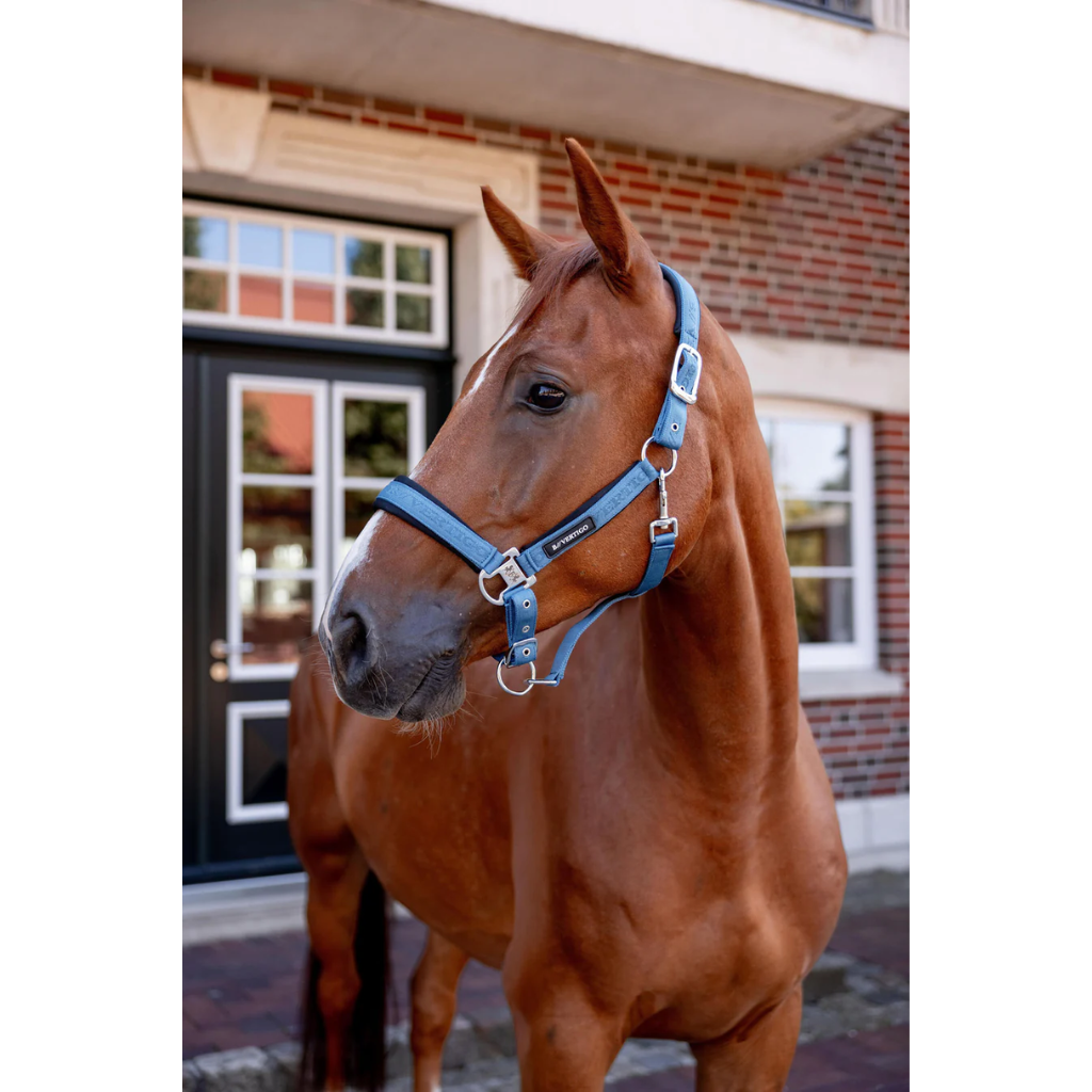 B/Vertigo Headstall Altitude Blk/Khaki