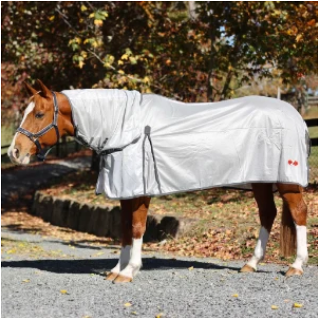 Zilco Rug Econo Air Combo