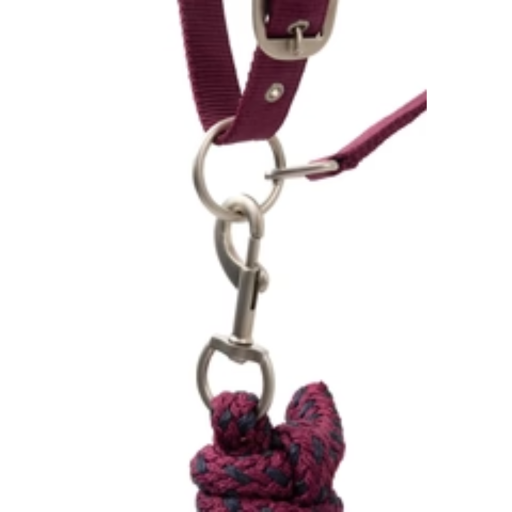 Horze Eternal Gaze Halter Set- Purple