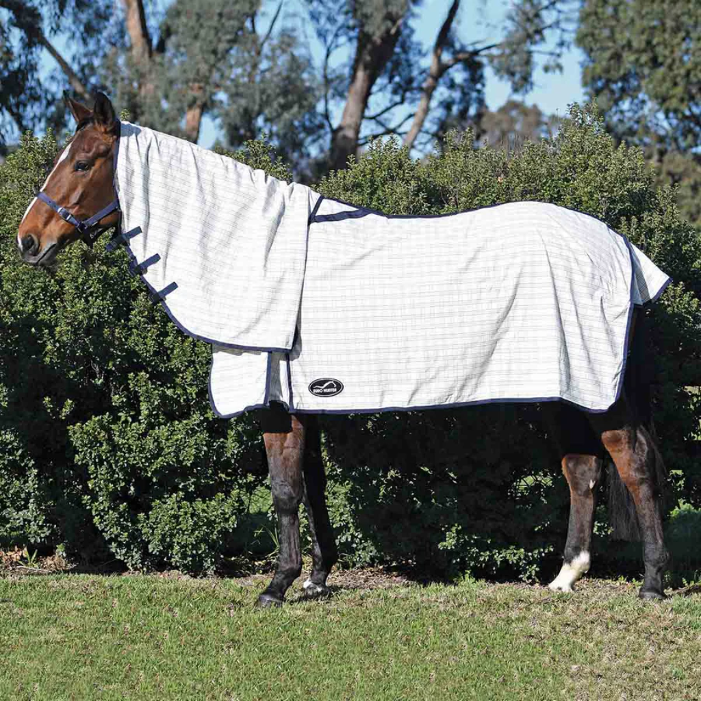Eurohunter Grand National Light Combo