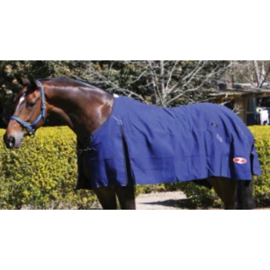 Blue Mountain Canvas Rug