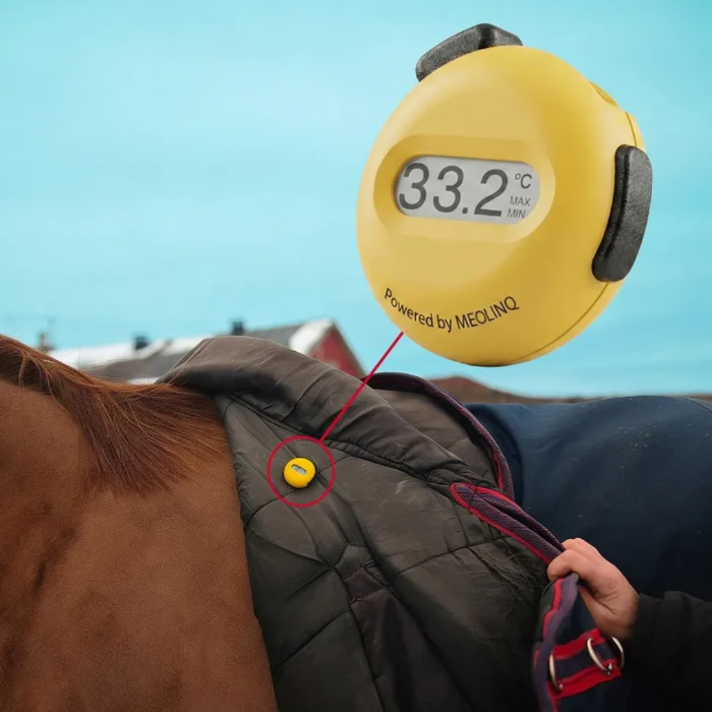 MeoTemp Smart Temperature Sensor