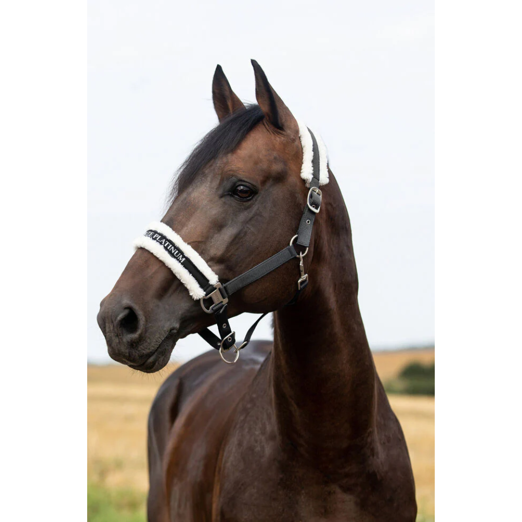 Horze Pegasus halter set Black