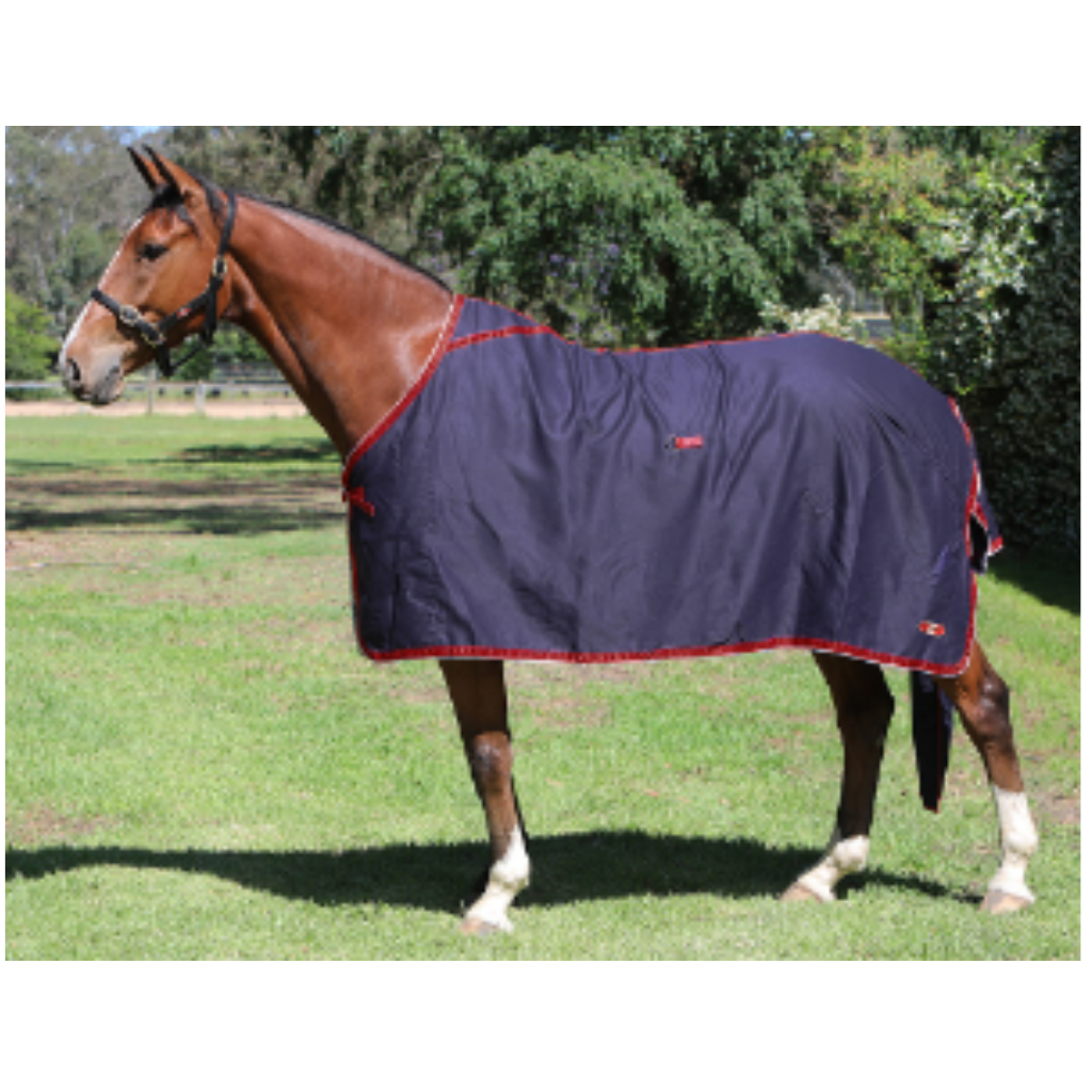 Zilco Show Rug