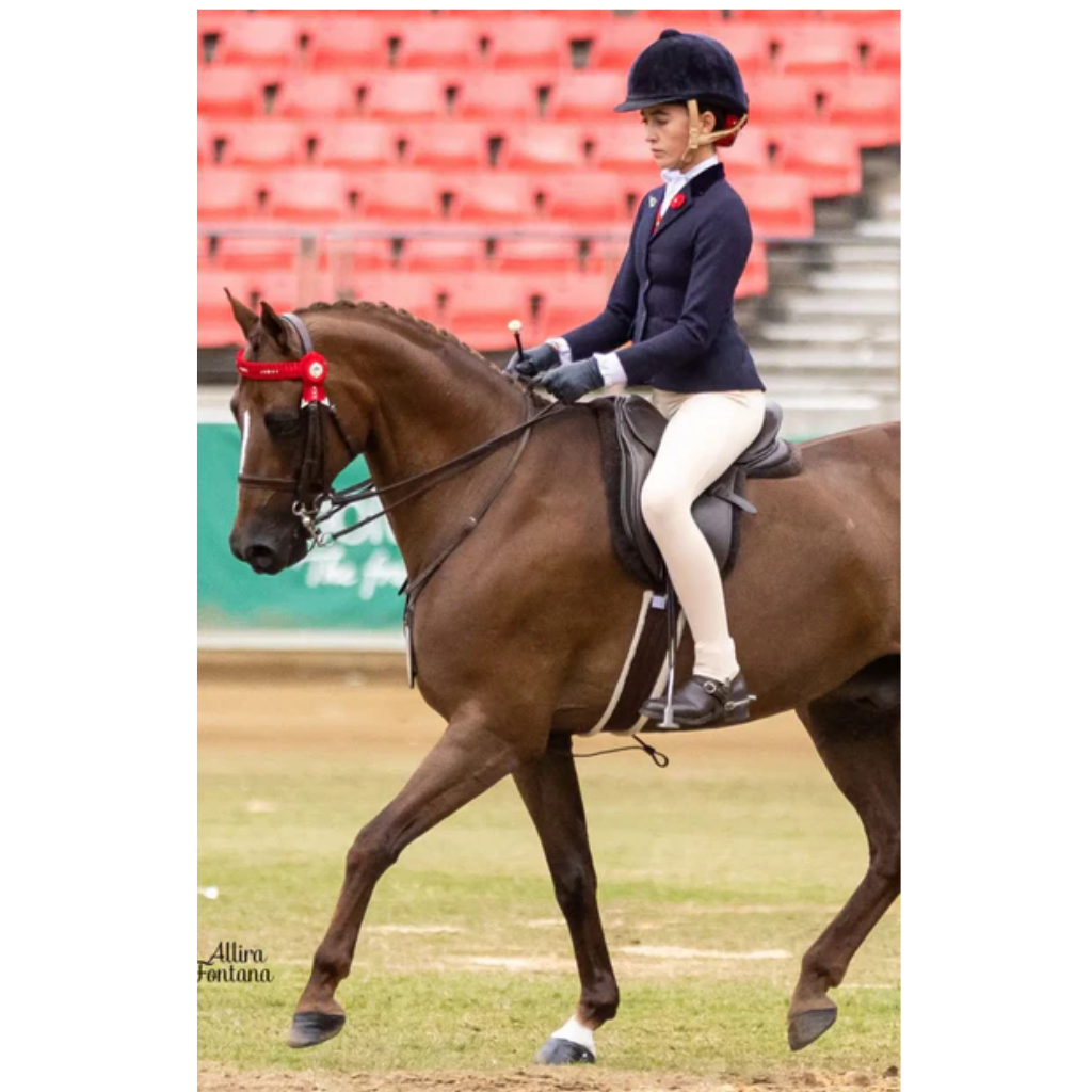 Bare Equestrian Youth Competition Wear - Stone Competition Tights