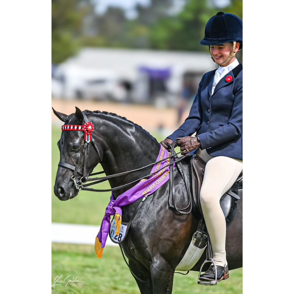 BARE Equestrian Competition Wear - Vanilla Creme Competition Tights