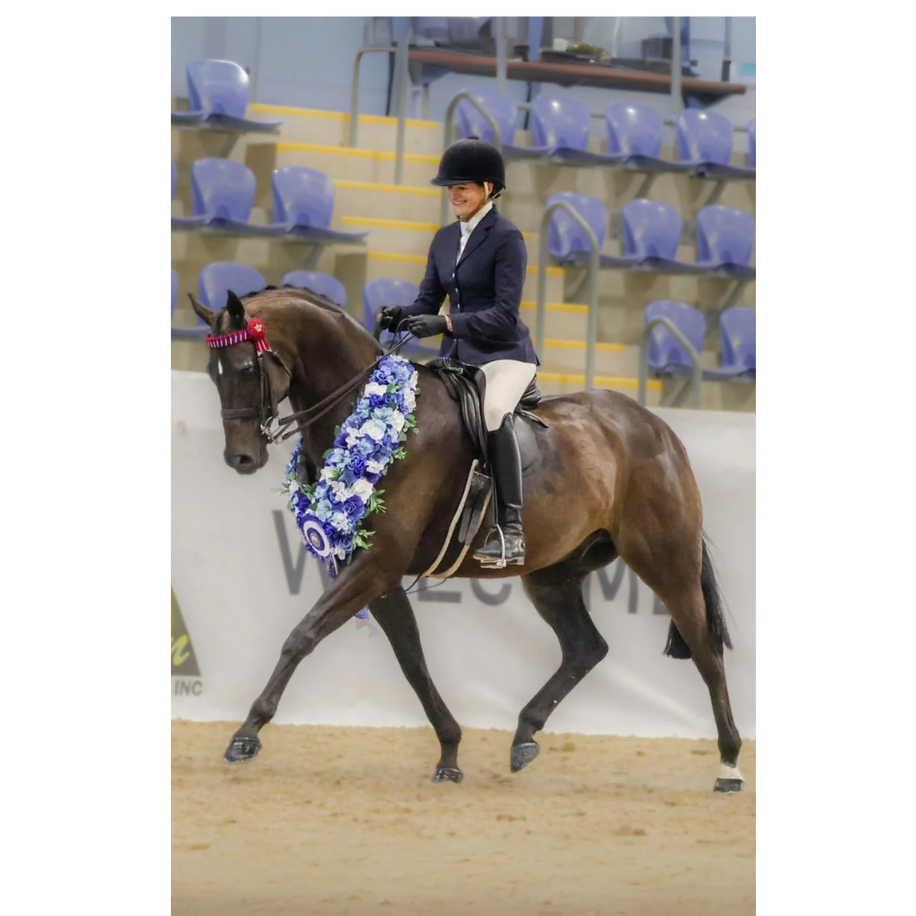 BARE Equestrian UltraSlim 2-Tone Competition Tights - Vanilla & Havana Brown