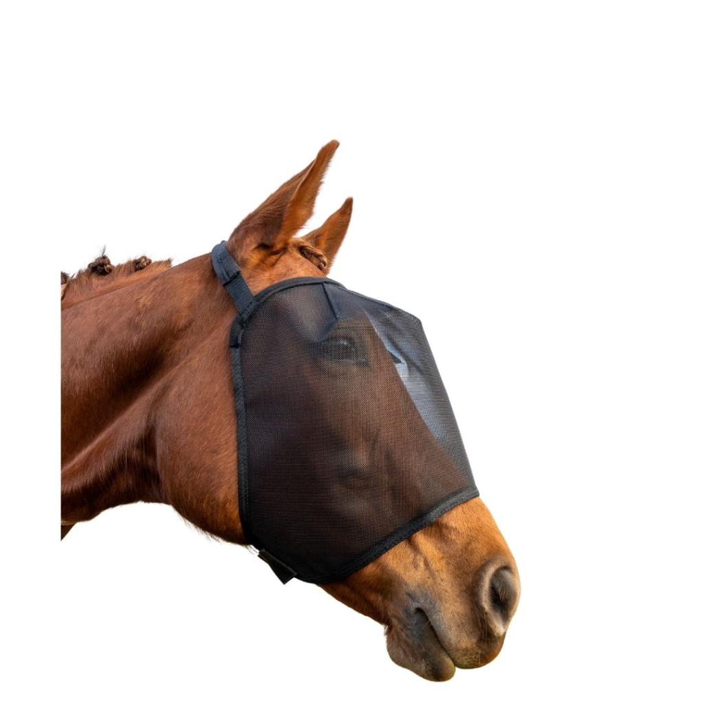 Wild Horse FV1 – Horse Fly Veil